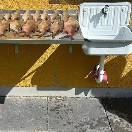 Am Oase Am Vilzsee Apartment