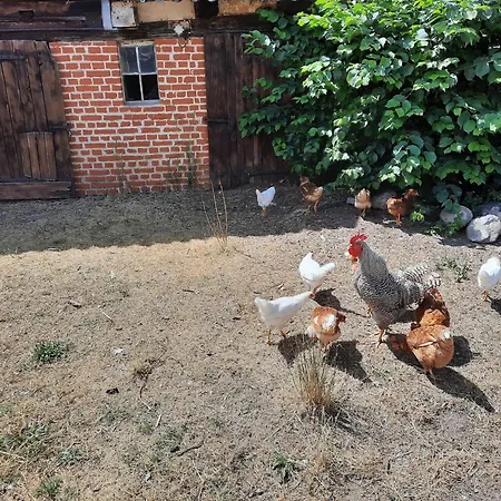 Apartment Am Oase Am Vilzsee