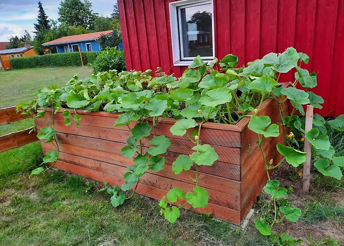 Am Oase Am Vilzsee *