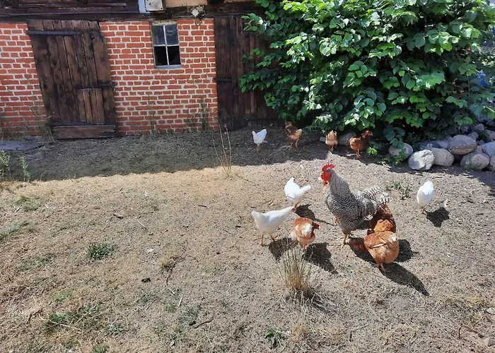 Apartamento Am Oase Am Vilzsee